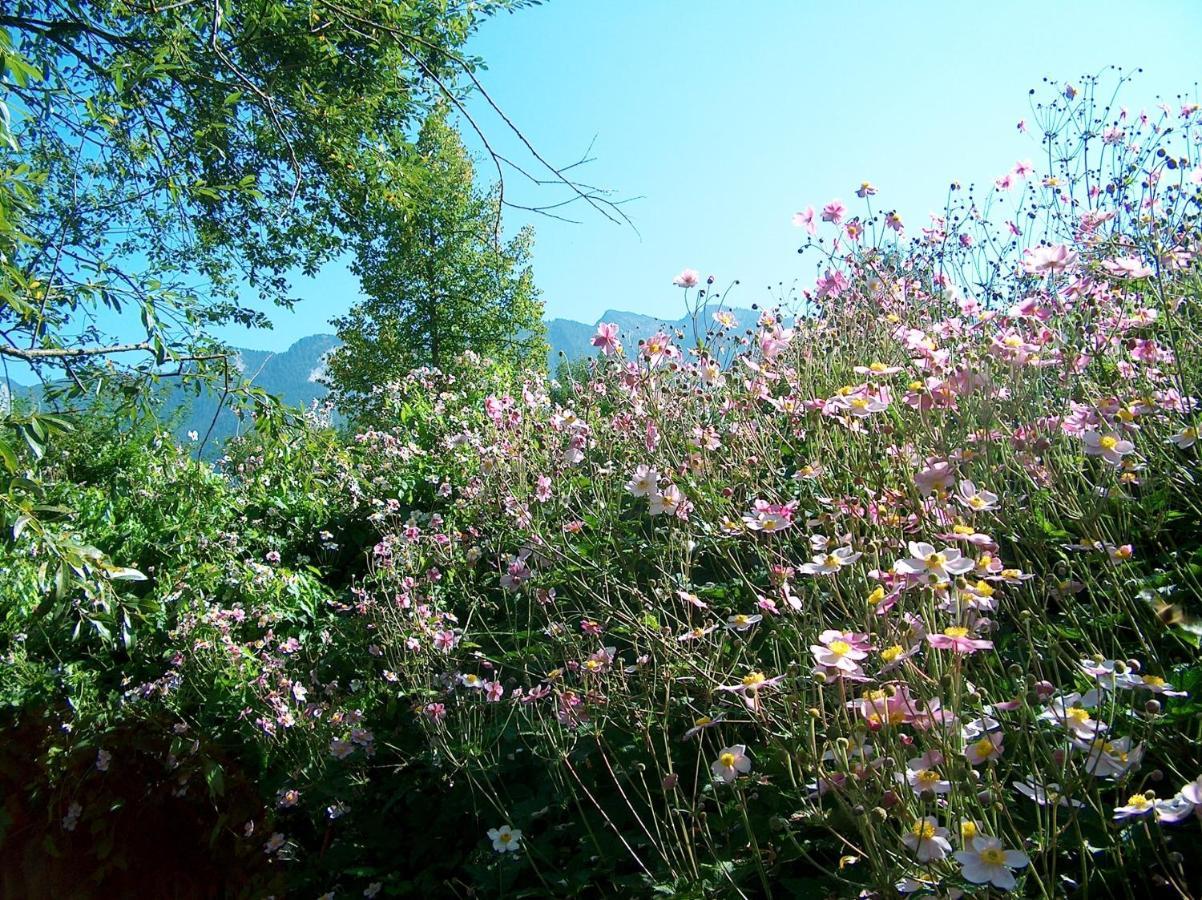 Schlossberghof Marzoll Bad Reichenhall Bagian luar foto