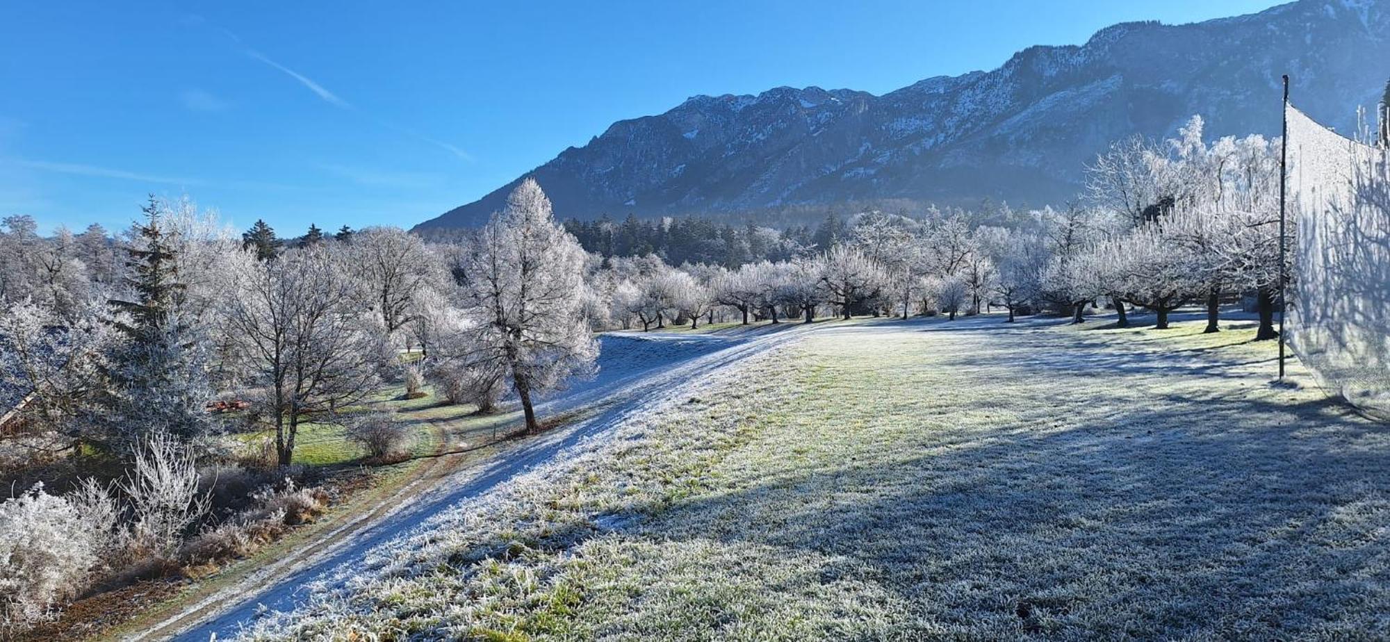 Schlossberghof Marzoll Bad Reichenhall Bagian luar foto